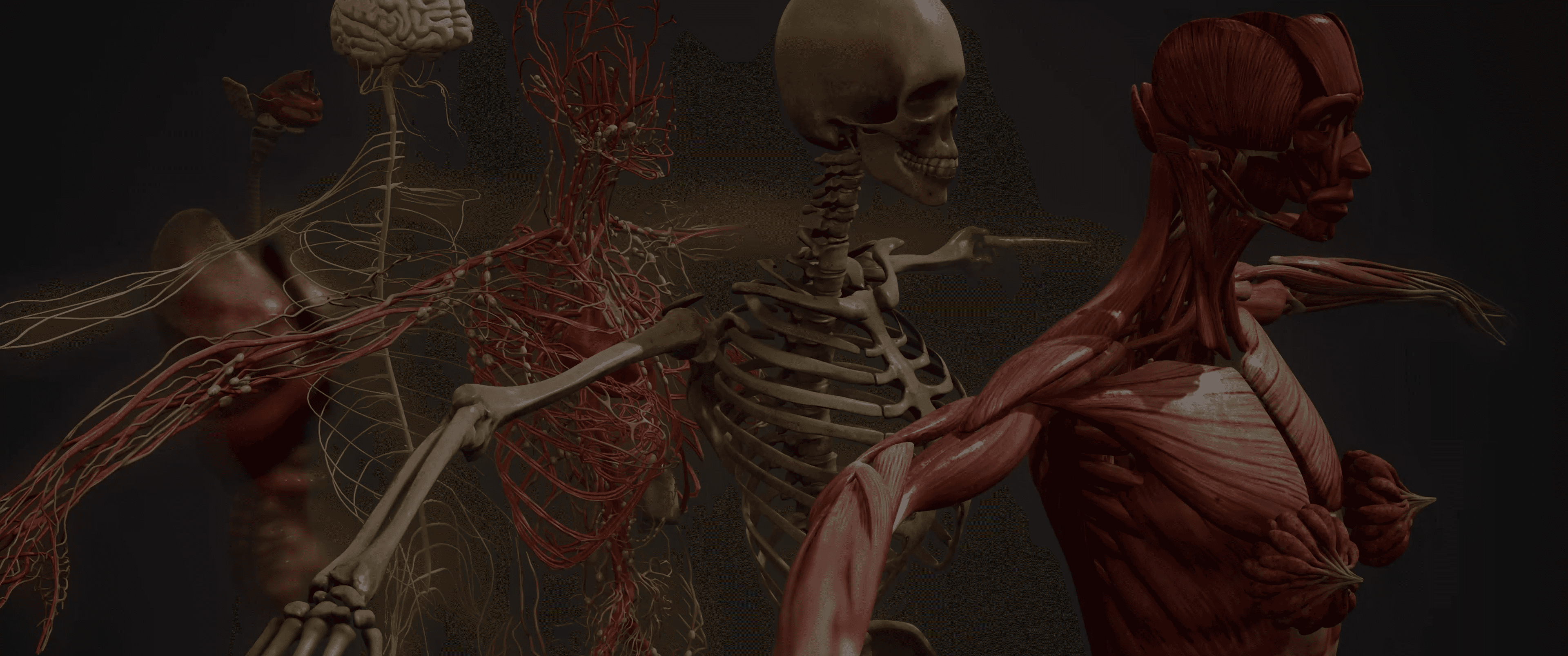 Infinity Animations